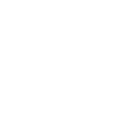 care icon